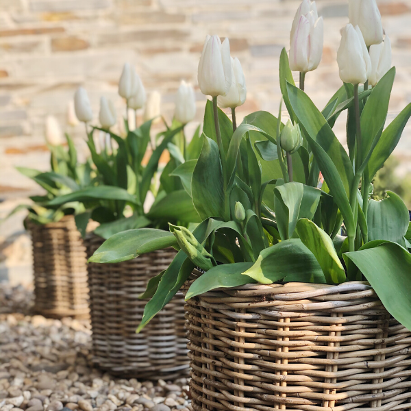 Gardening is good for the soul.
