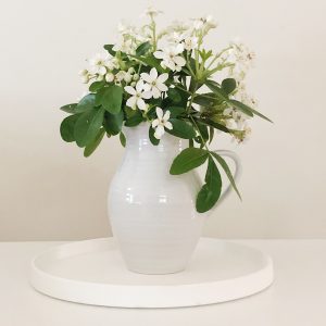 spring refresh white jug of garden flowers on a white ceramic tray 