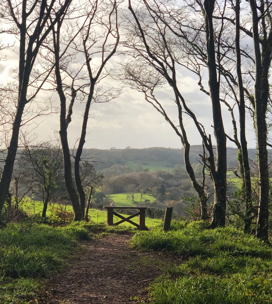 boost your immune system this Christmas by getting outside 