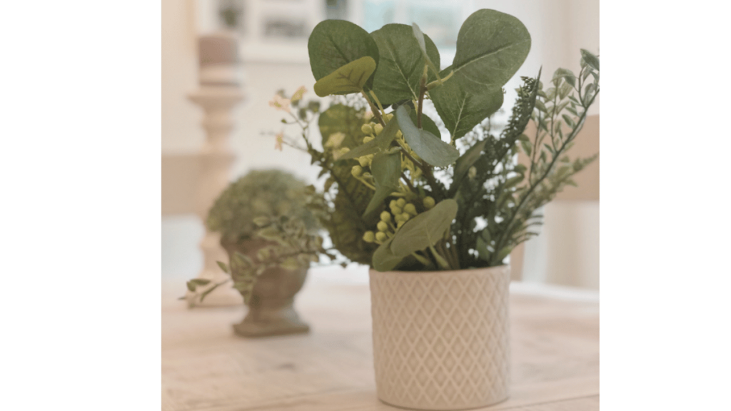 plants on a dining table