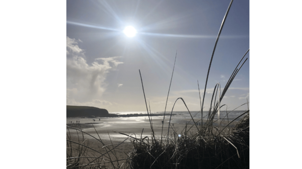 beach view behind the dunes in the sunshine