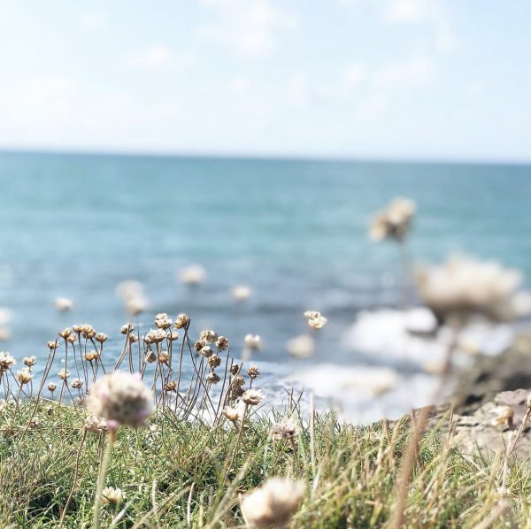 Image of the sea thrust on the cliff path with the sea in the background, highlighting the benefits of getting outside.