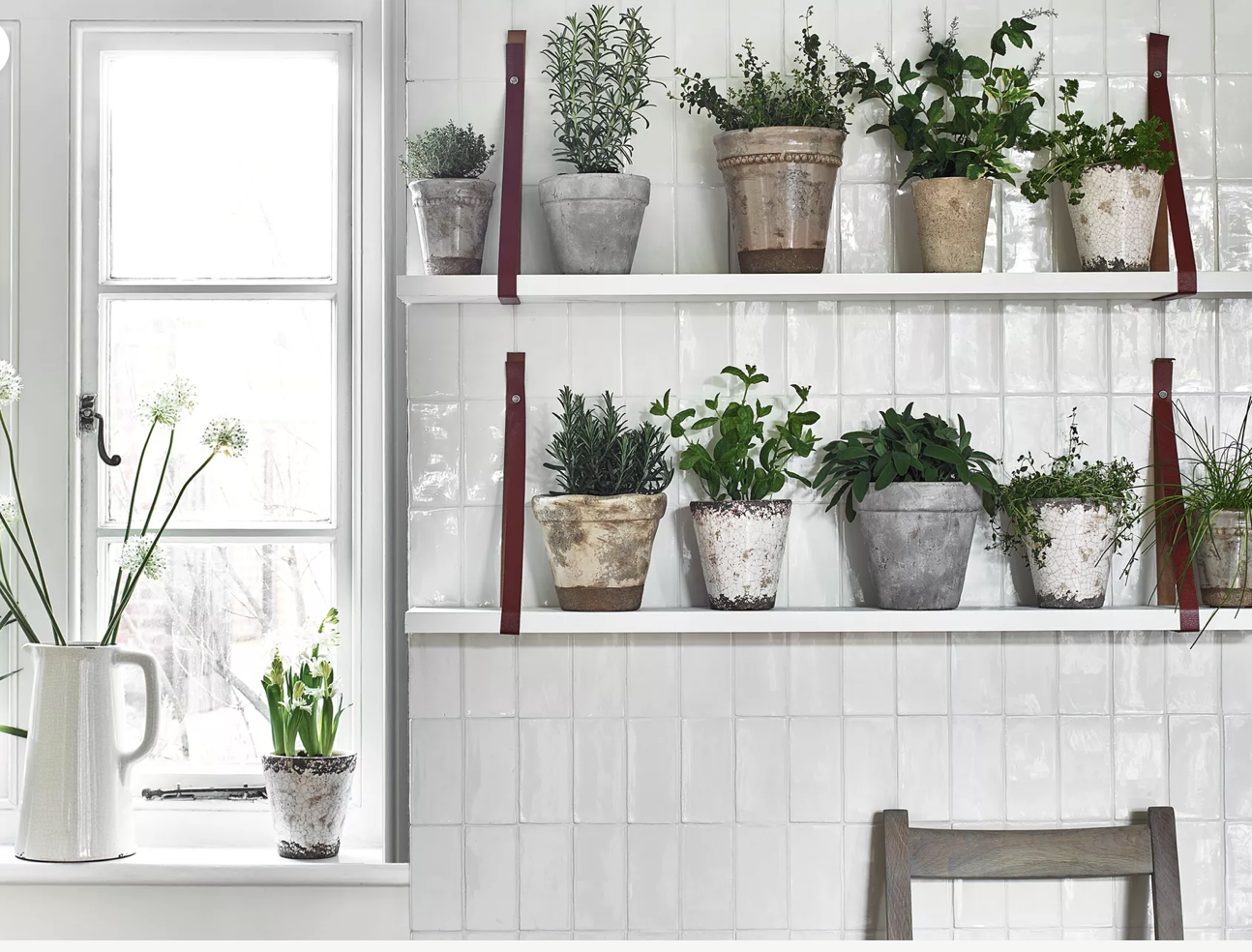 Dreams come true with this stunning garden room, white with lots of greens plants of shelves 