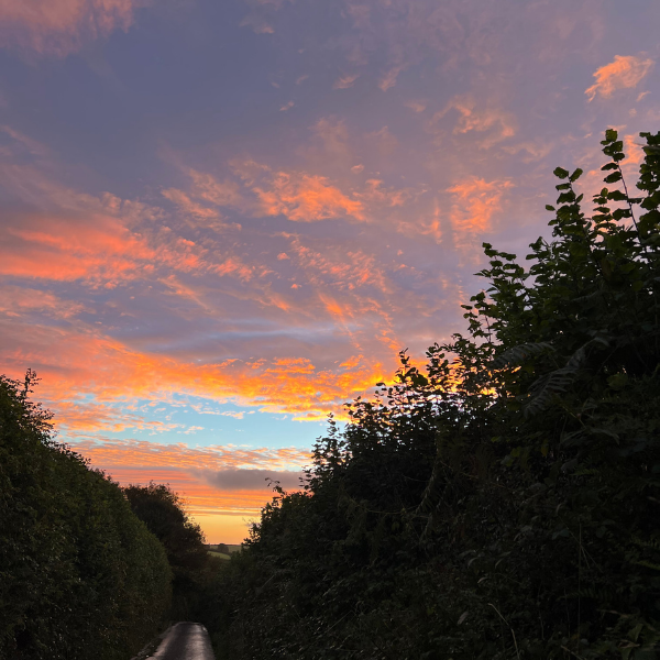 morning sunrise in the lanes of devon