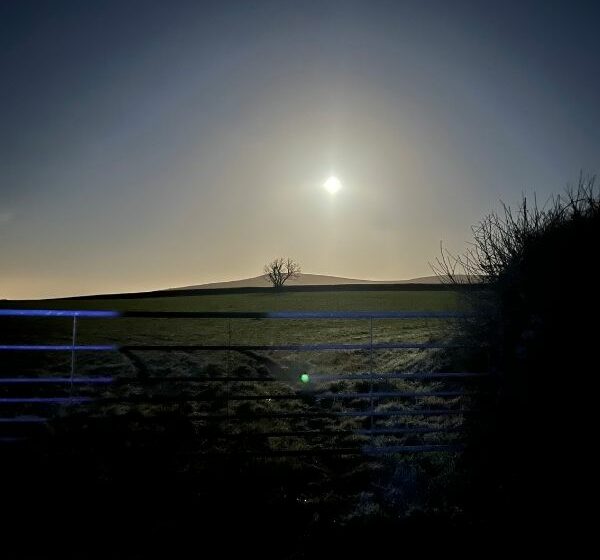 Dartmoor by moonlight