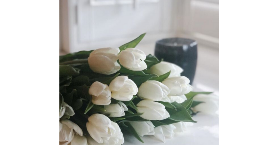 white tulips in the foreground
