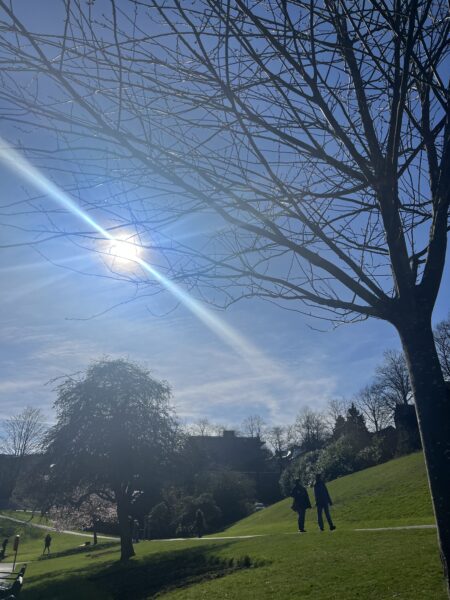 sunshine in the park, captures national walking day