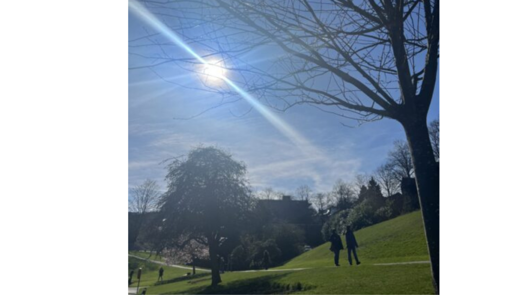 national walking day